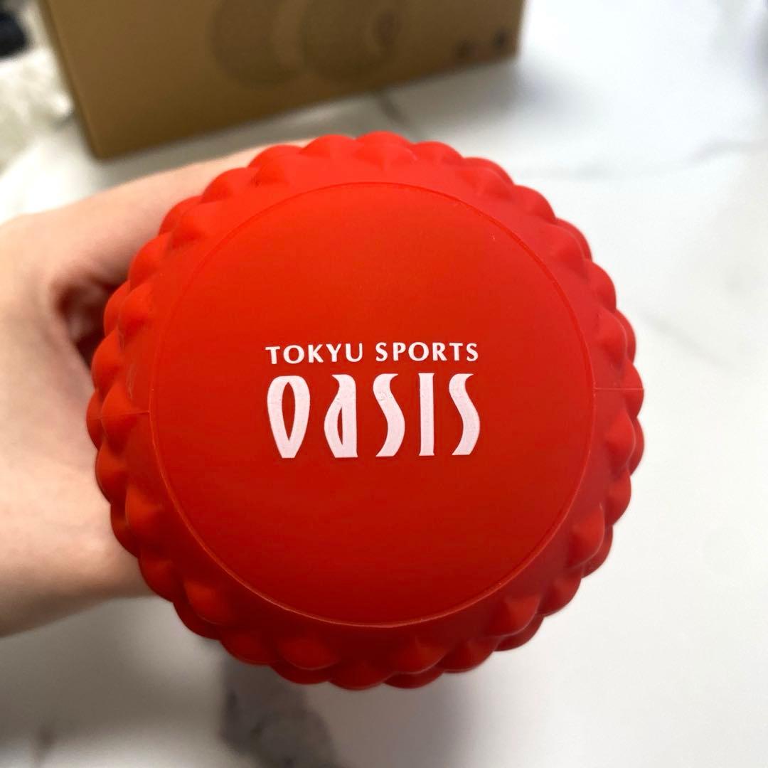 【値下げ23日〆】東急スポーツオアシス シェイプツインボールSTB-100