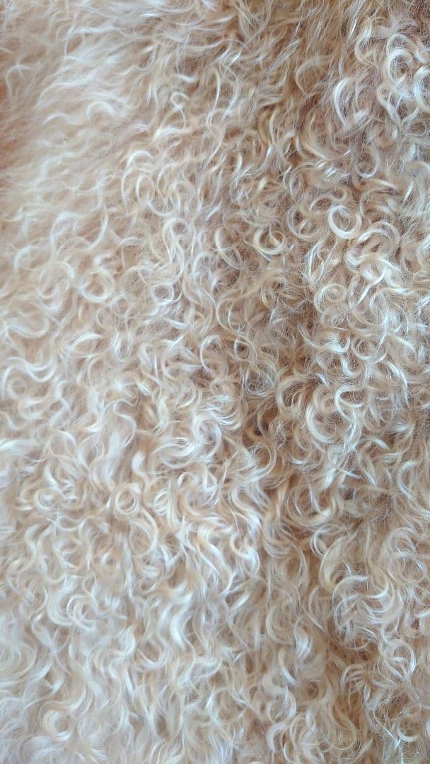 【ジルスチュアート】　軽くて暖かいシープ（羊の毛）のベスト