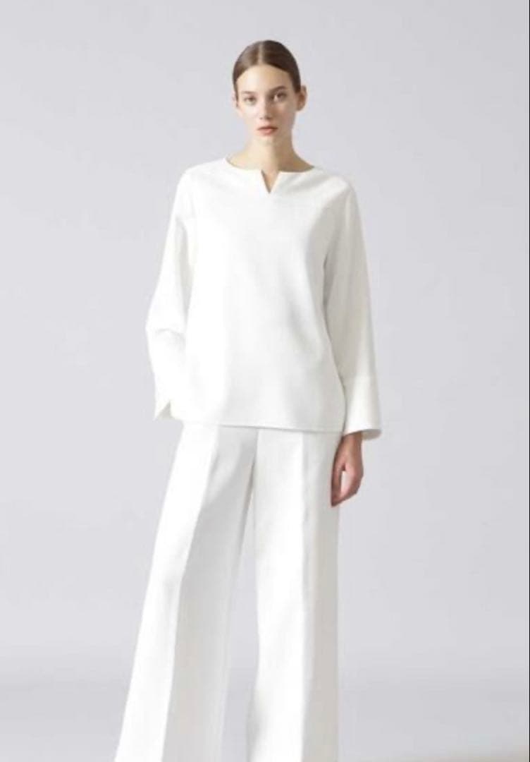 ADORE アドーア　ミドルジョーゼットバックプリーツブラウス