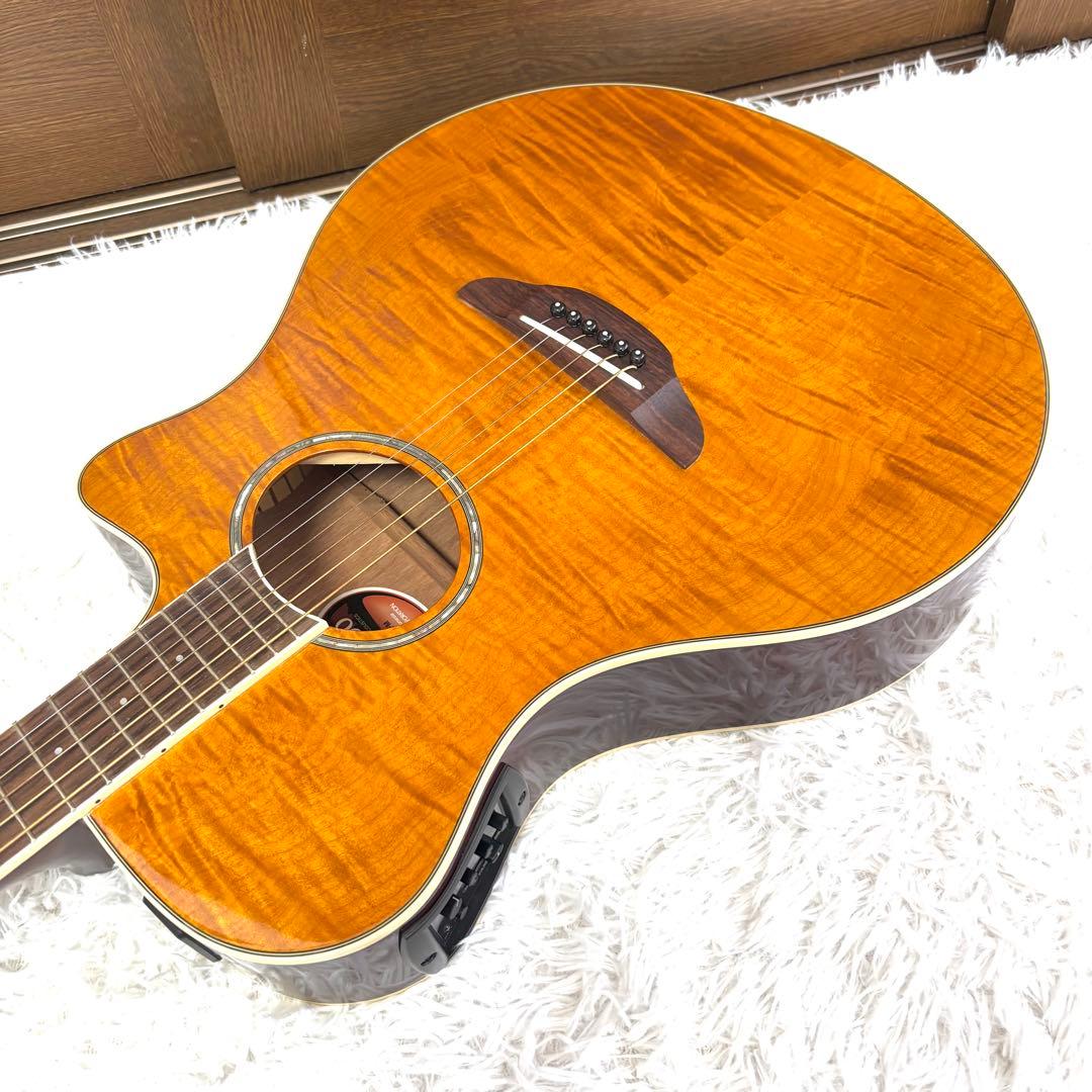 ✨美品✨YAMAHA APX600 FM AM エレアコ ヤマハ　虎杢　ケース付