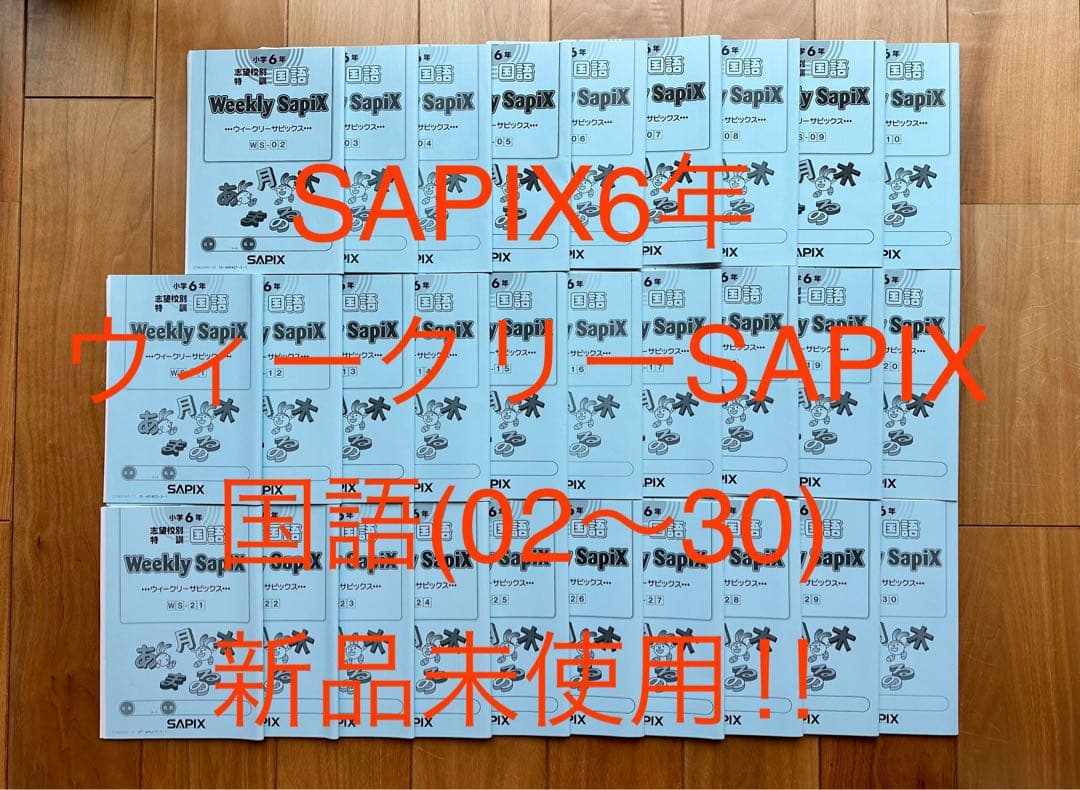 SAPIX6年 ウィークリーSAPIX国語(2~30)