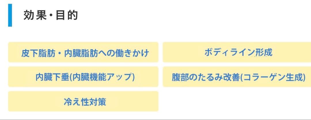 【定価68200円】フレキシア コアボディサポーター /くびれ・お腹痩せ