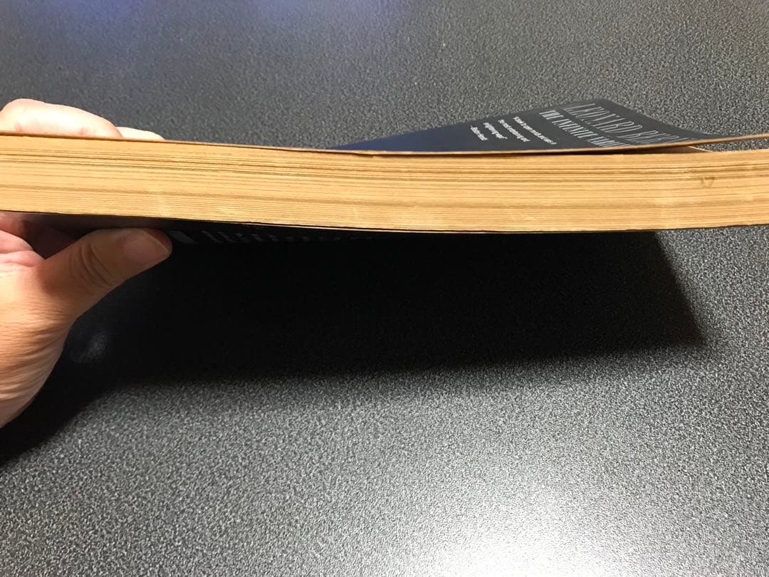 洋書LEONARD BERNSTEIN THE INFINITE VARIETY