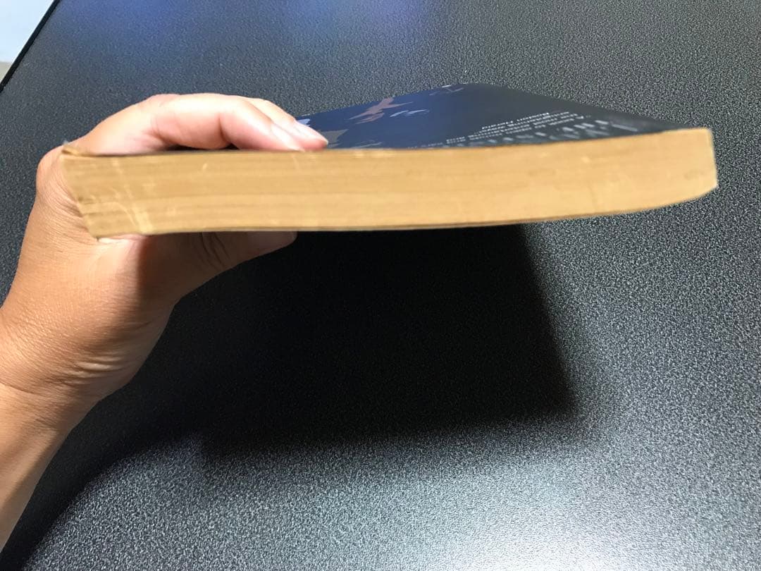 洋書LEONARD BERNSTEIN THE INFINITE VARIETY