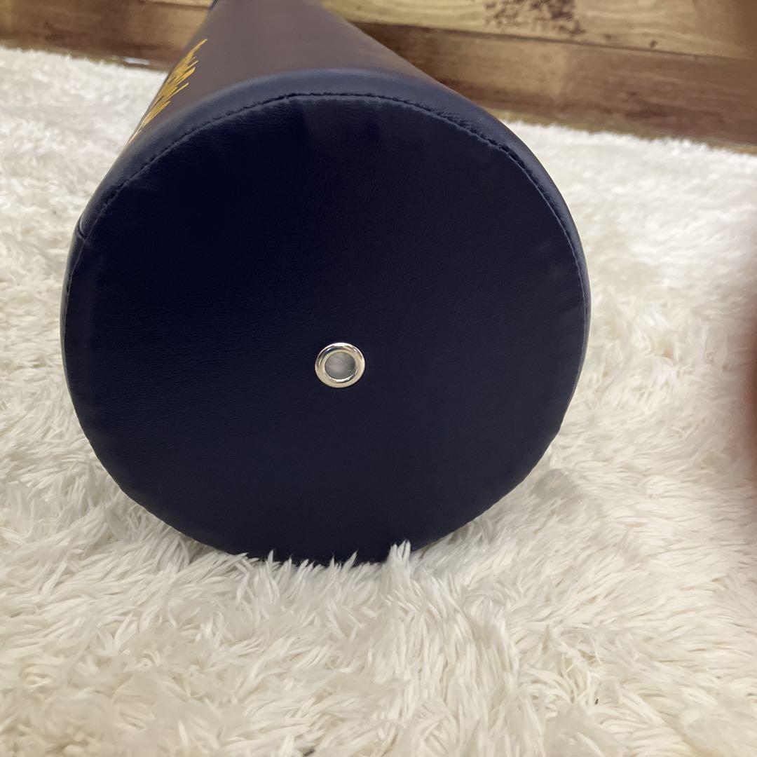 未使用級‼︎ LPN ストレッチポール　EX