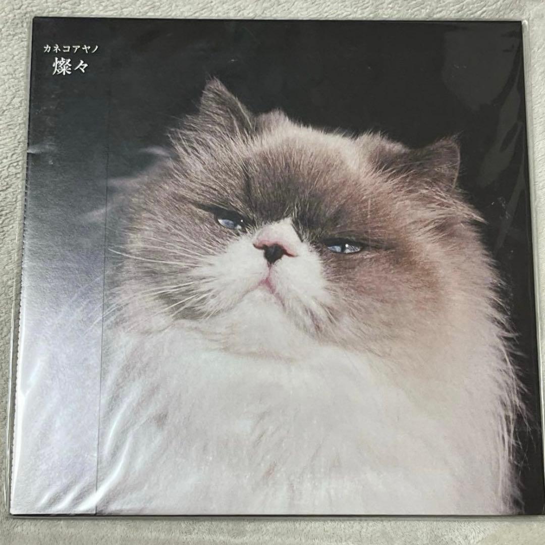 カネコアヤノ　レコード　燦々　タオルケットは穏やかな ひとりでに　2点セット