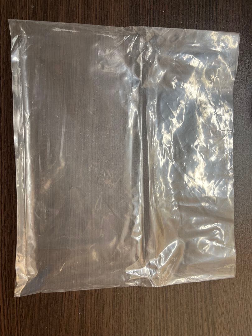 Nintendo Switch Lite【gray】