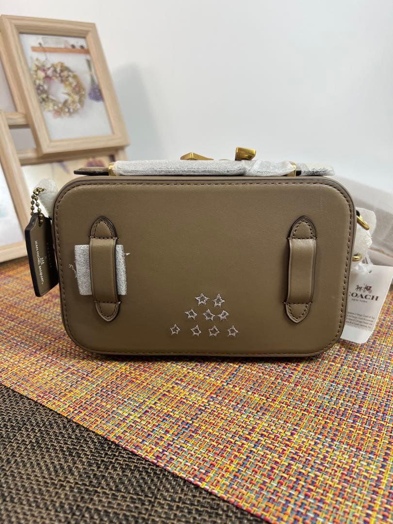 ✨新品・未使用品✨COACH コーチ　バスキア コラボ アリー ベルトバッグ