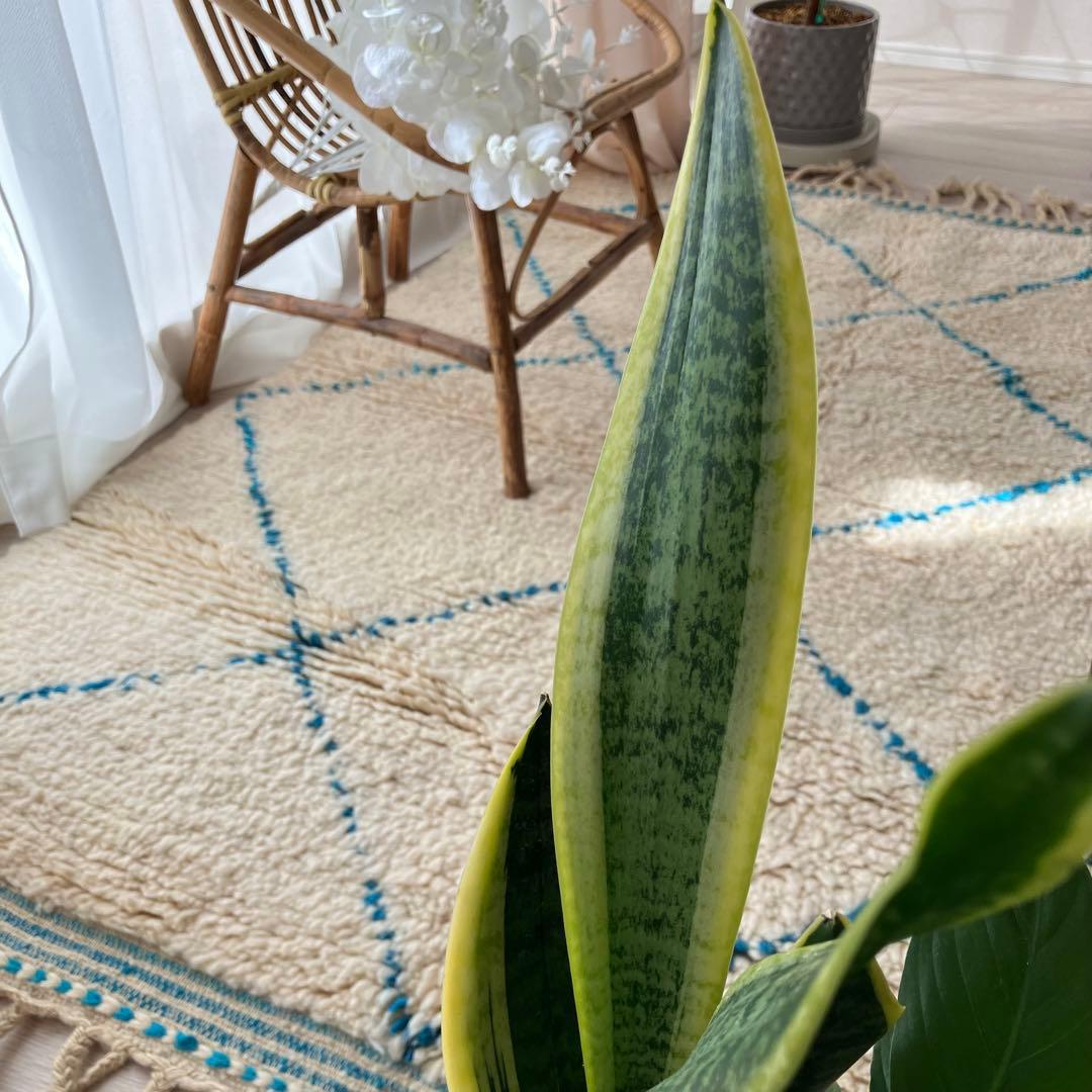 モロッコ111×171◇ダイヤ◇ ベニワレン　エメラルド　トルコヴィンテージラグ