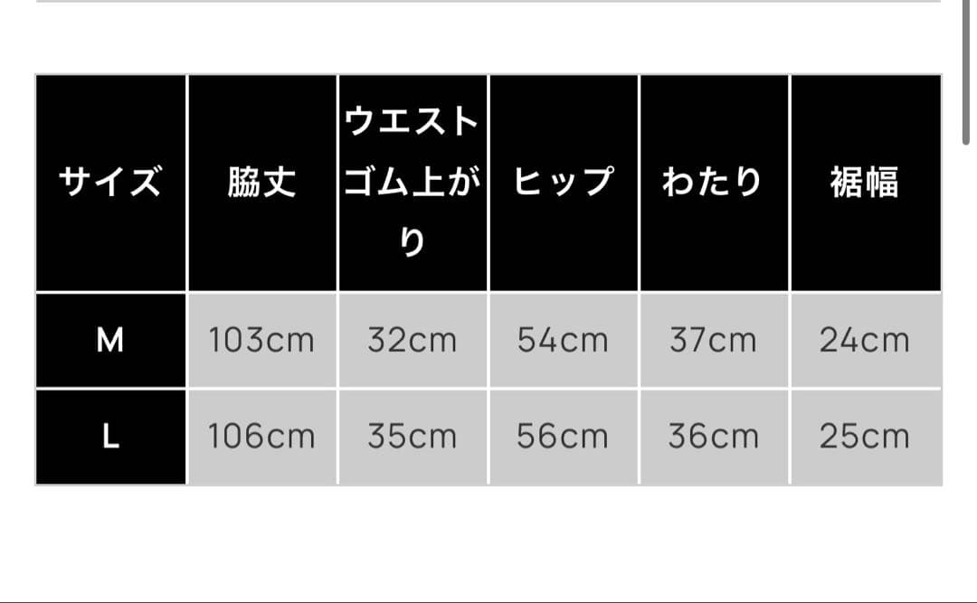 SUNG1975 SHINE LOGO SWEAT セットアップ