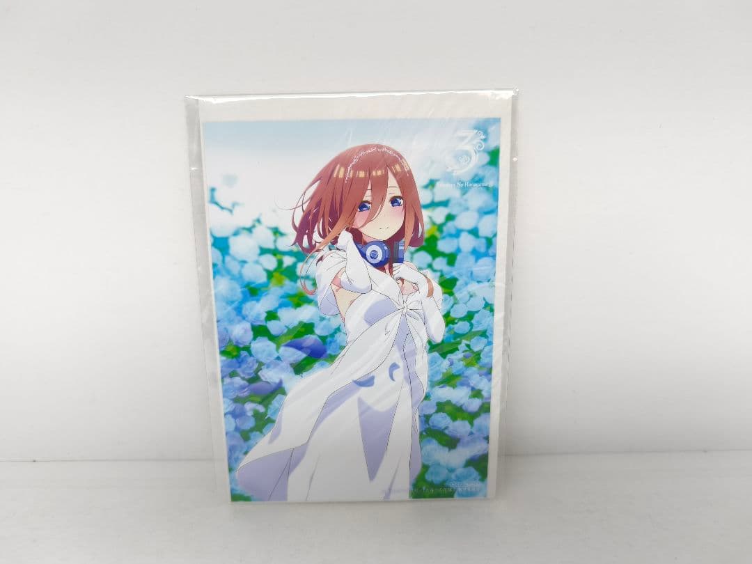 五等分の花嫁 ミニ色紙 新品未開封