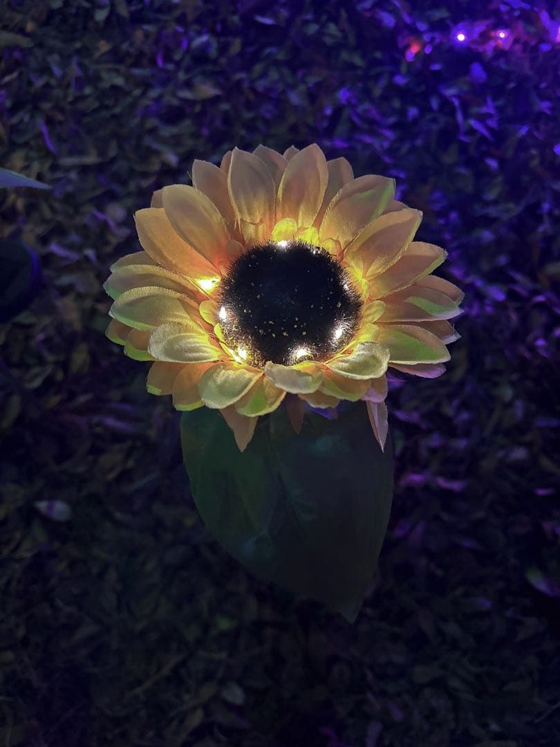 フィーディングバッグ50個