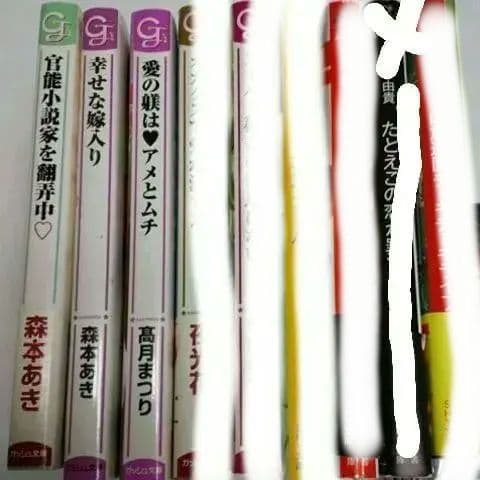 BL小説 色々　バラ売り　BL文庫