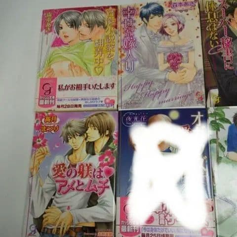 BL小説 色々　バラ売り　BL文庫