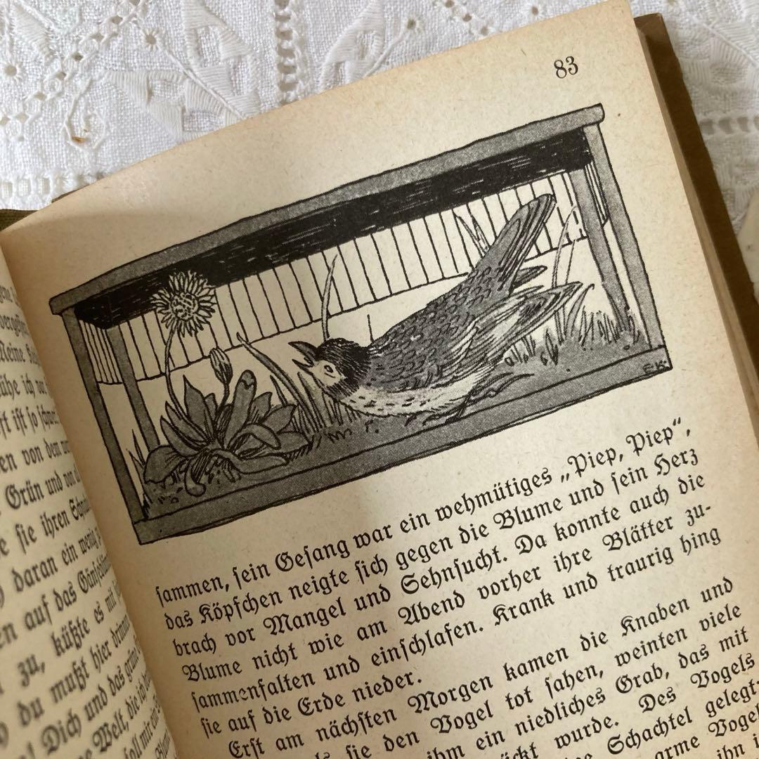 L850洋書　1925年発行　ドイツのアンティーク古書　 花のおとぎ話