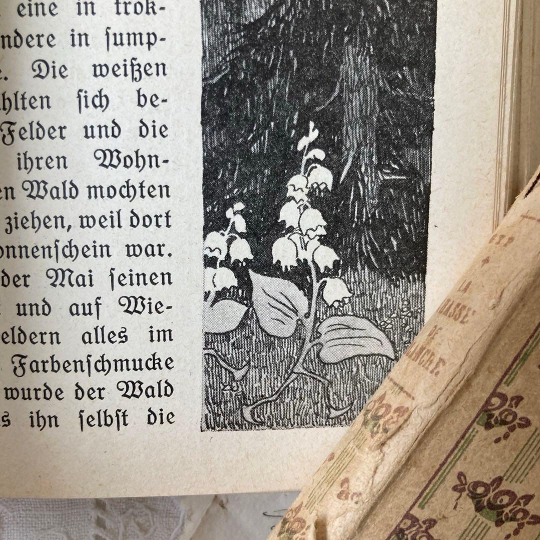 L850洋書　1925年発行　ドイツのアンティーク古書　 花のおとぎ話