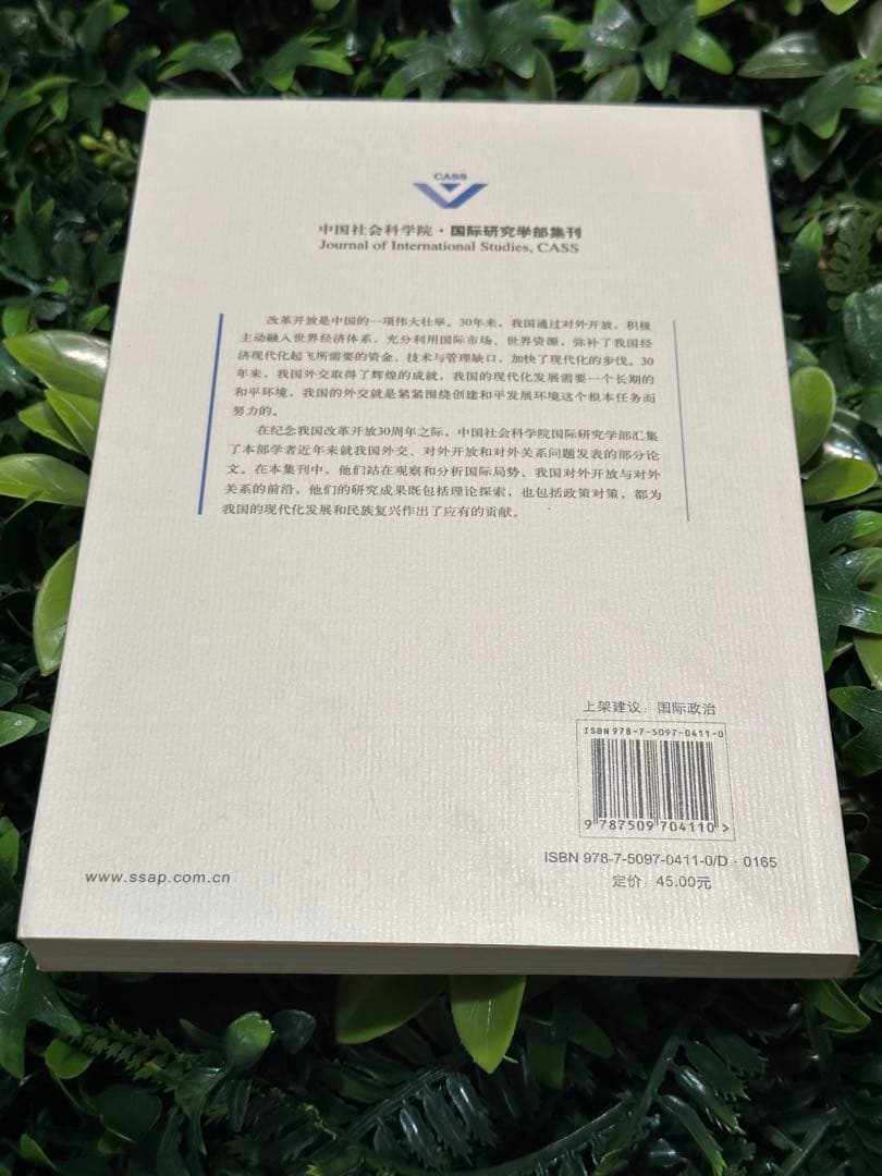 中国対外開放：戦略と実践／国際研究 CASS 国際政治