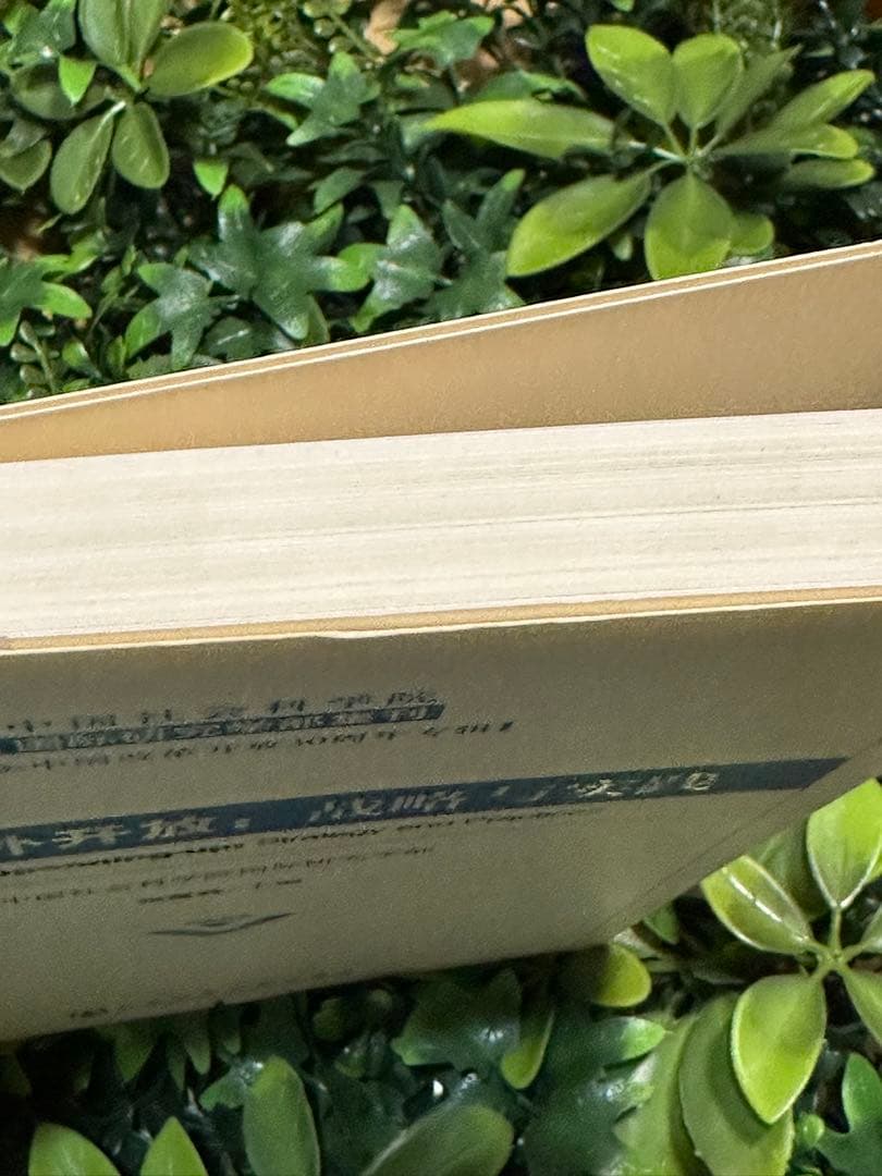 中国対外開放：戦略と実践／国際研究 CASS 国際政治