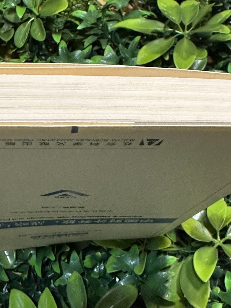 中国対外開放：戦略と実践／国際研究 CASS 国際政治