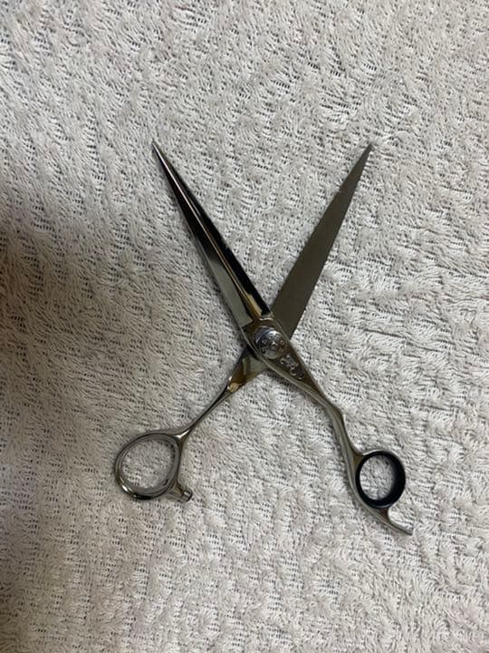 ネットワーク　シザー