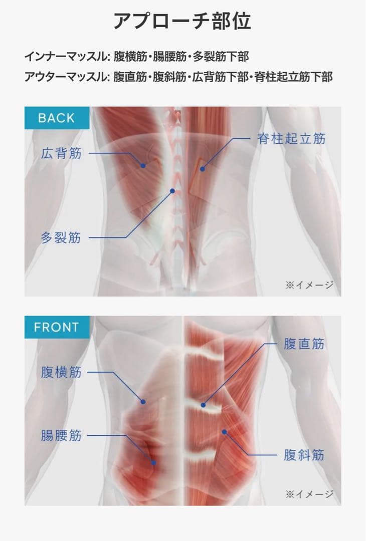 シックスパッド　SIXPAD メディカルコア　腰　インナーマッスル　Mサイズ