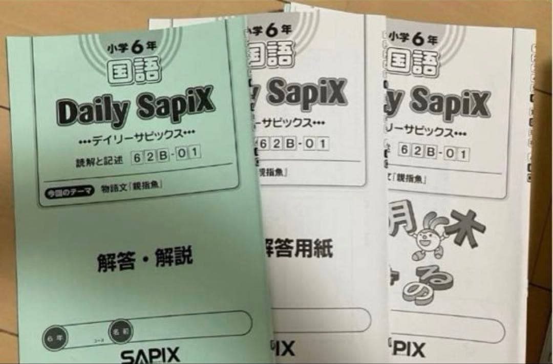 小6 国語 デイリーサピックス 24回分+春期講習•夏期講習 ウィークリーサピ他