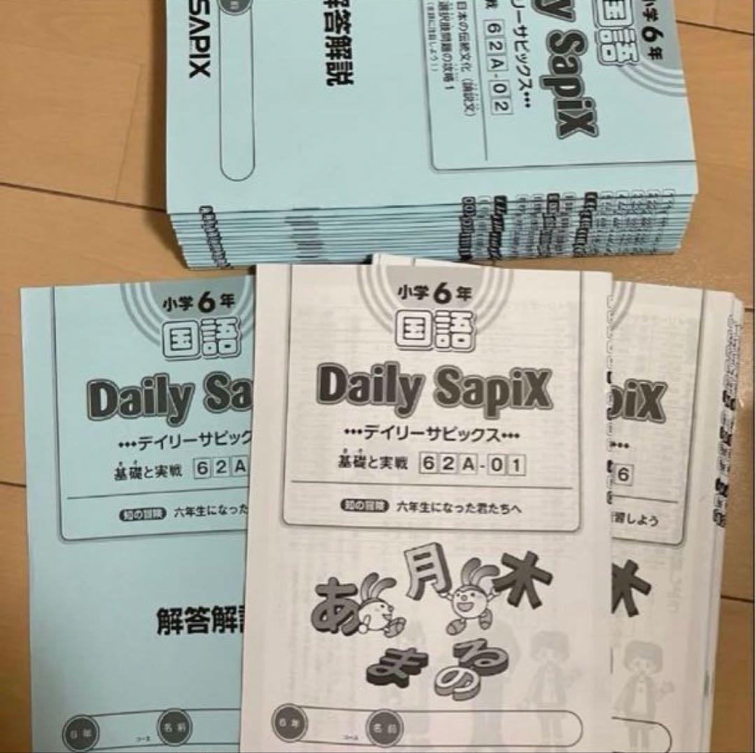 小6 国語 デイリーサピックス 24回分+春期講習•夏期講習 ウィークリーサピ他