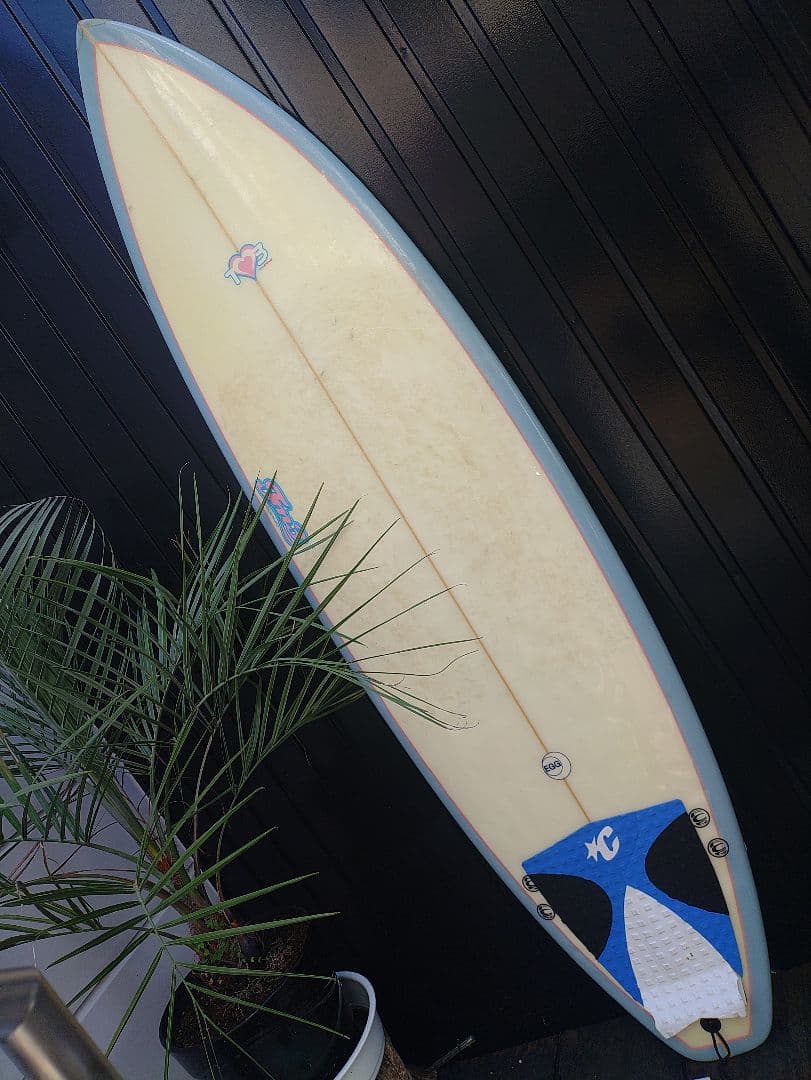 愛知 TM3 レディース 女性 サーフィン ショート ファン ボード FCS 波