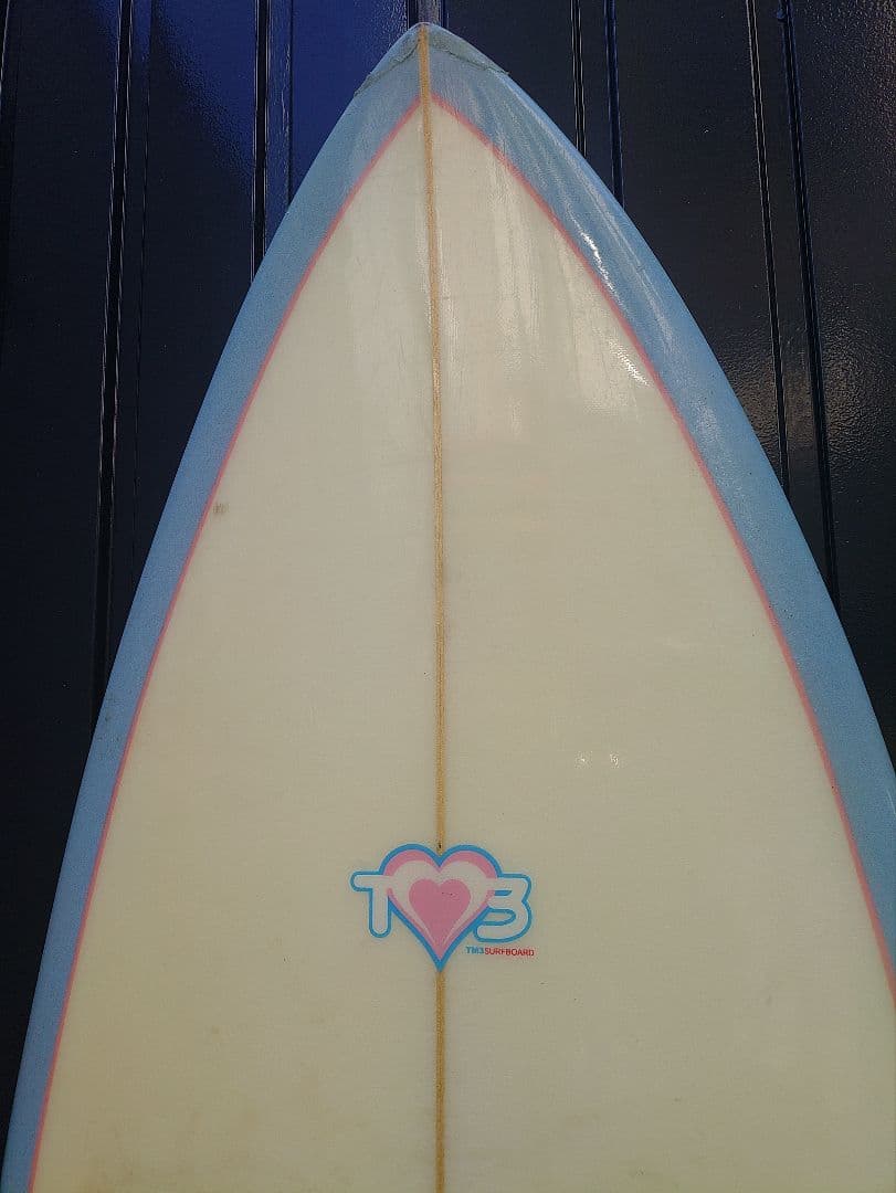 愛知 TM3 レディース 女性 サーフィン ショート ファン ボード FCS 波