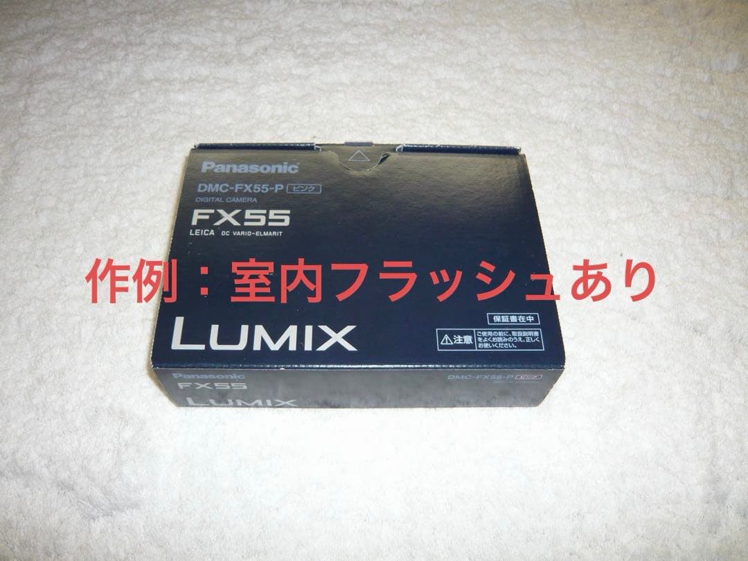 極上品【動作品】Panasonic パナソニック LUMIX DMC-FX55