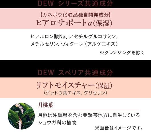 ❣️新品 カネボウ DEW スペリア EX 高機能薬用化粧水 ＆ 高機能薬用乳液