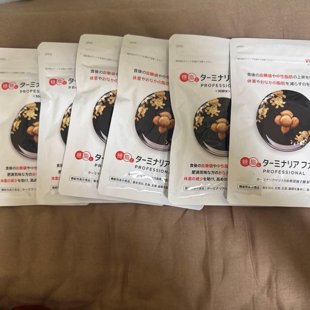 ビタブリッドジャパン ターミナリアファースト 120粒　6袋