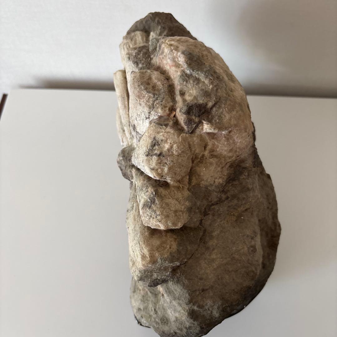 菊花石 天然石 飾石 模様石 縦約25横30cm 重量約10.8kg 台座付き