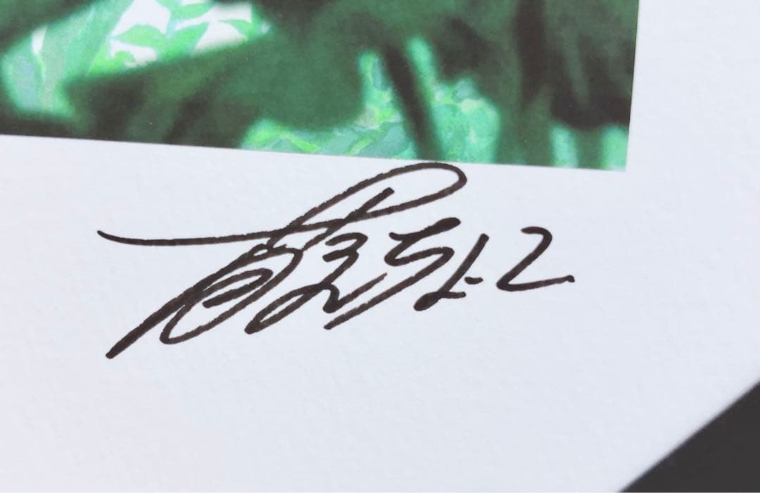 藤ちょこ 彩幻境 直筆サイン入り アートグラフ 複製原画