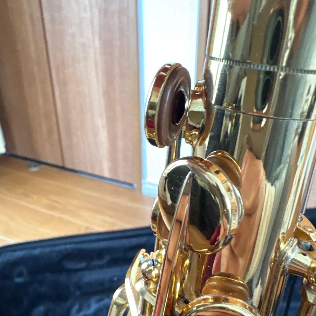 アルトサックス 875ex