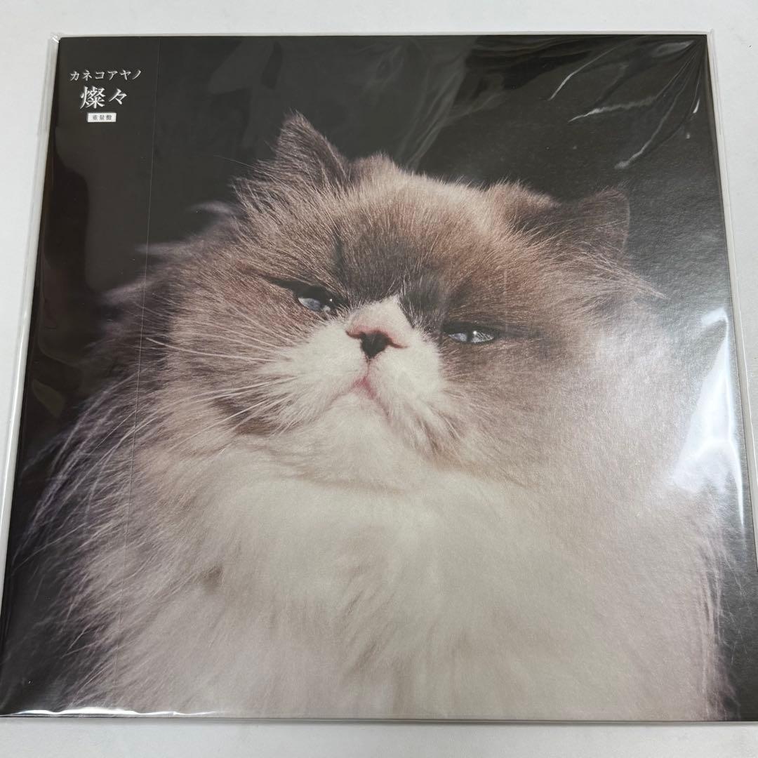 カネコアヤノ レコード4枚セット