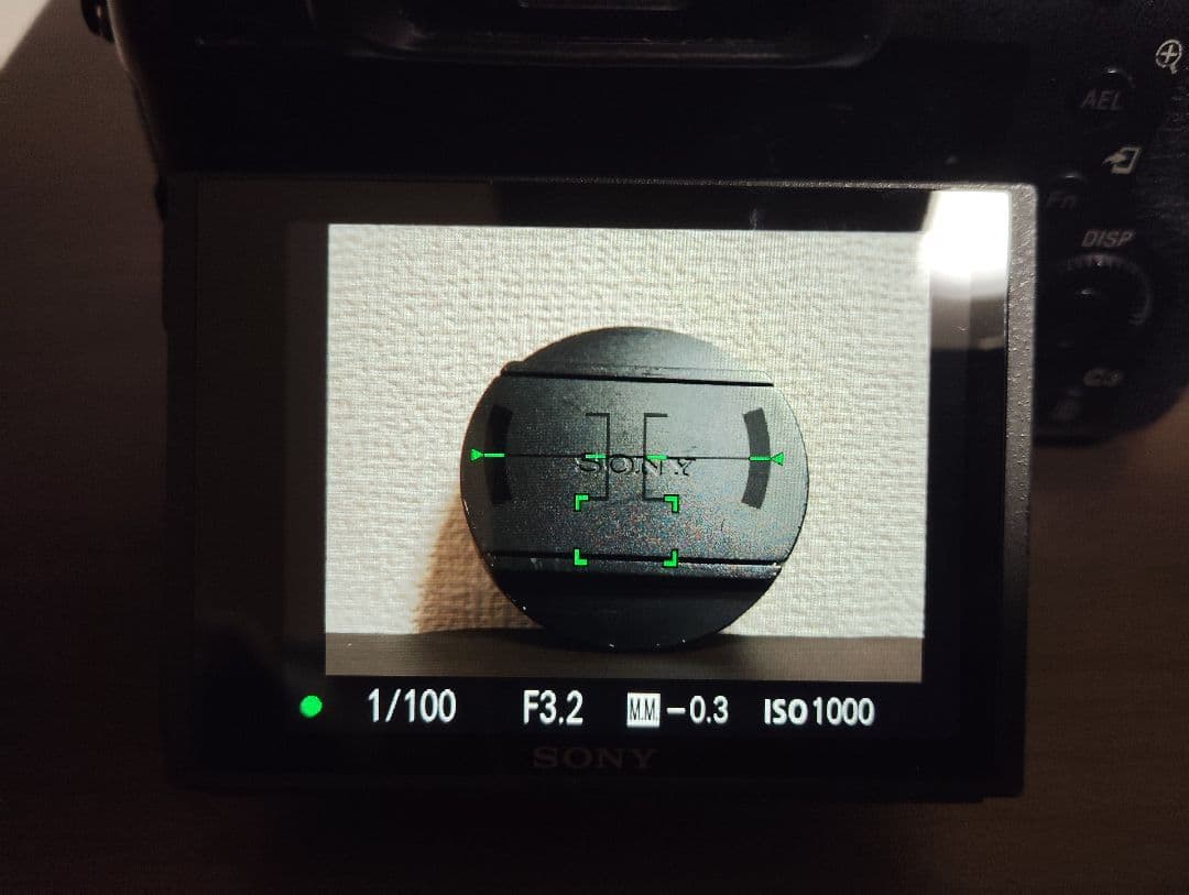 デジタルカメラ SONY RX10 IV ( M4 )