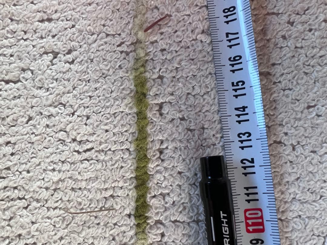 ブリヂストン　ドライバー用シャフト　LOOP SLASH TYPE-R 6s