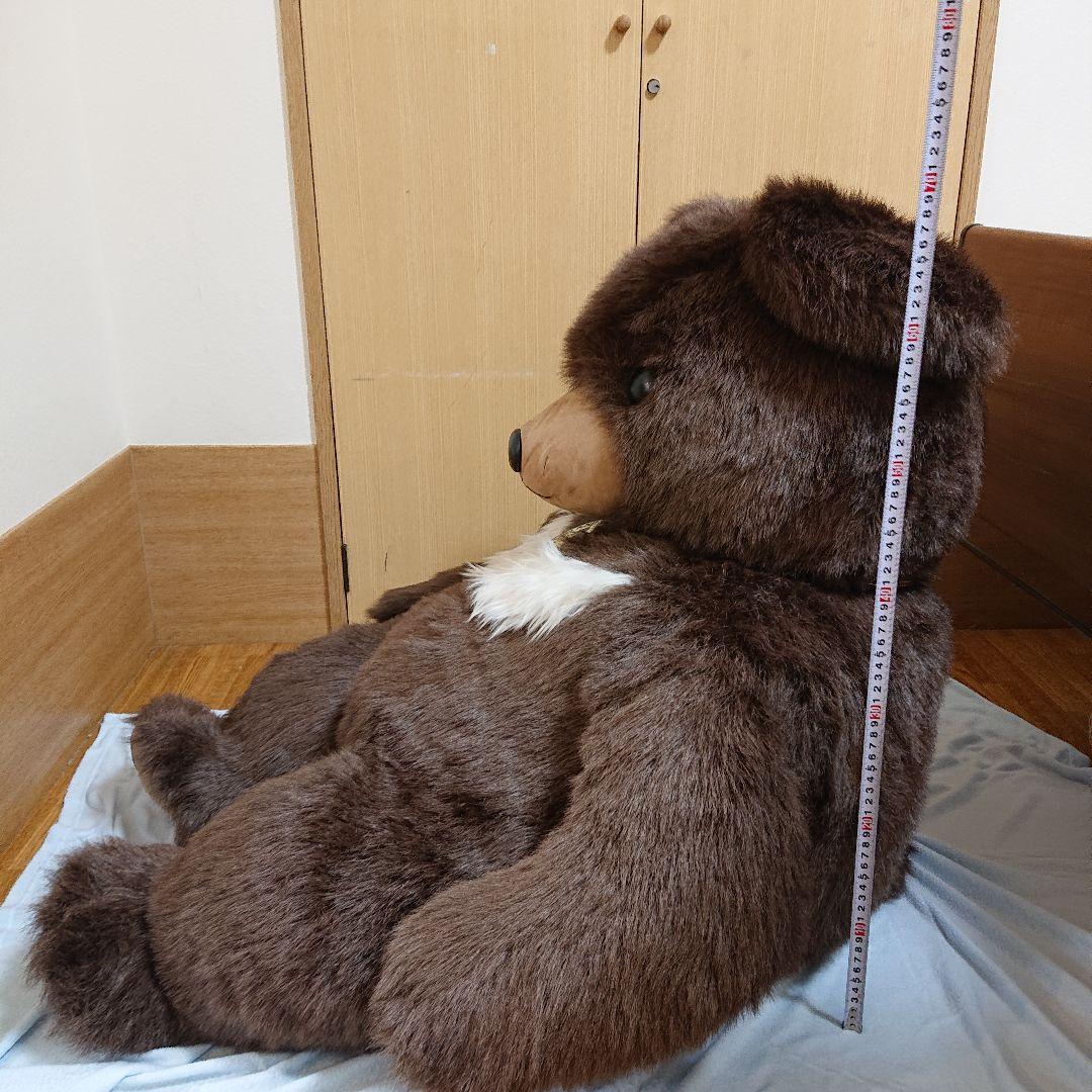 サンアンドスター ツキノワグマ