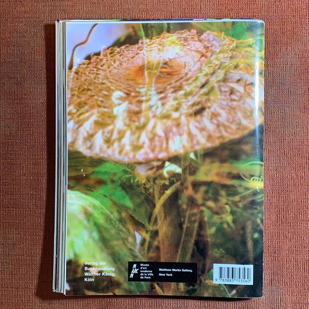 アート・デザイン・音楽 Peter Fischli David Weiss: Musee d'Art M