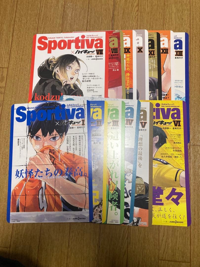 【早い者勝ち】小説版スポルティノーバ版　ハイキュー!! 全ビジュアルボードセット