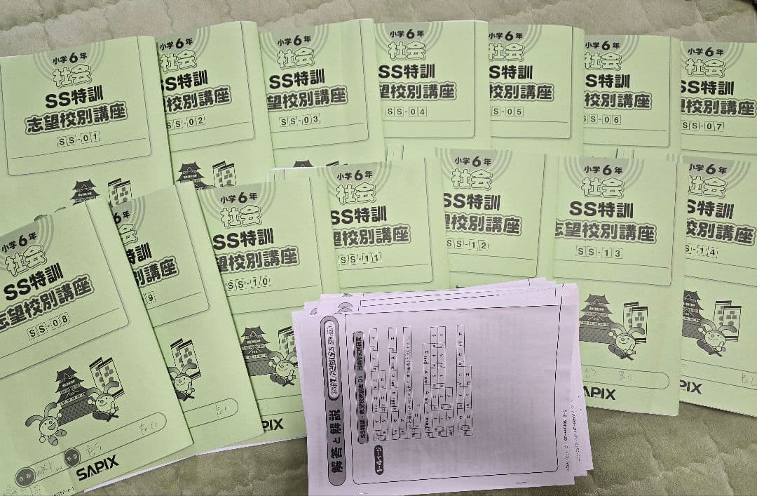 サピックス 6年 社会 SS特訓 志望校別講座 01-14 全セット