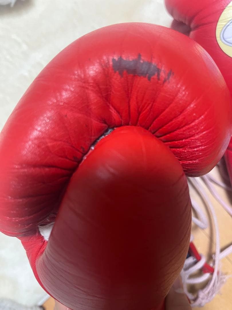 Winning ボクシンググローブ 10 oz 赤