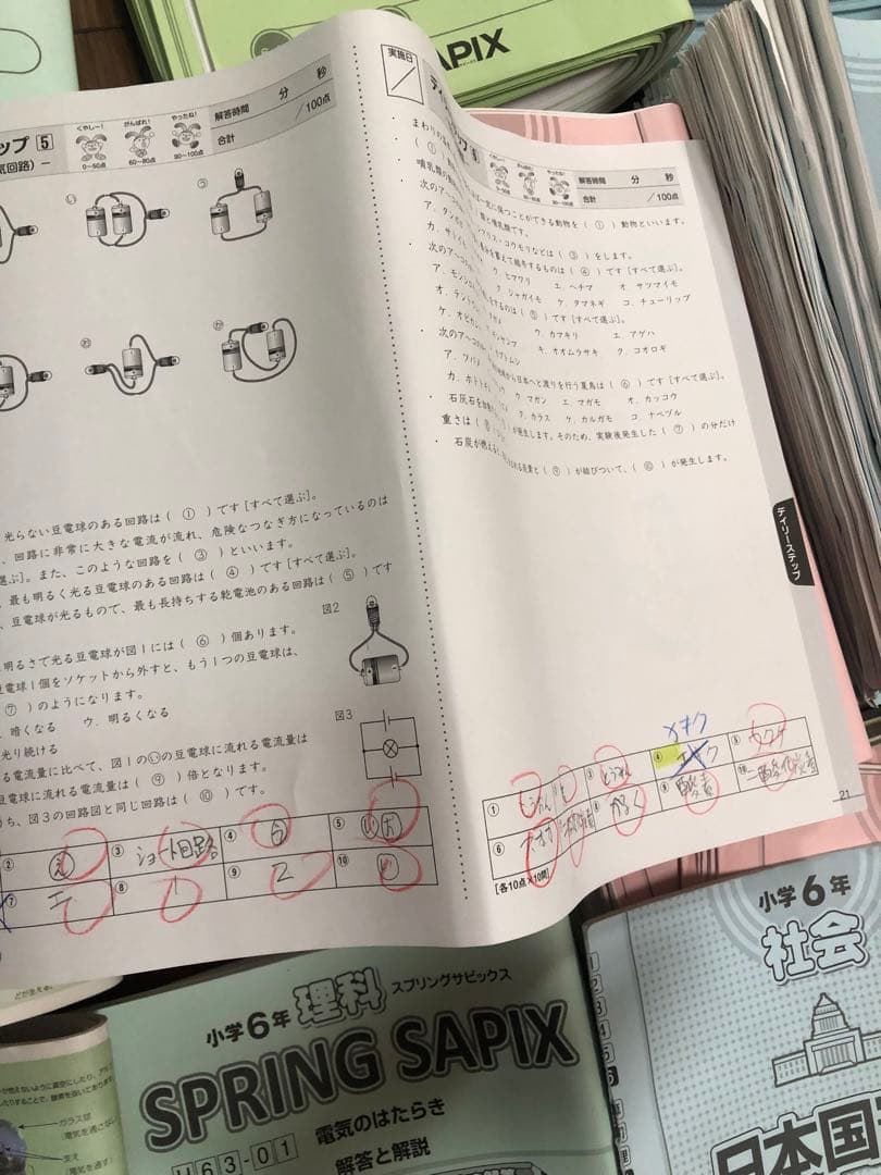 SAPIX 2025年度　6年生　1年間分