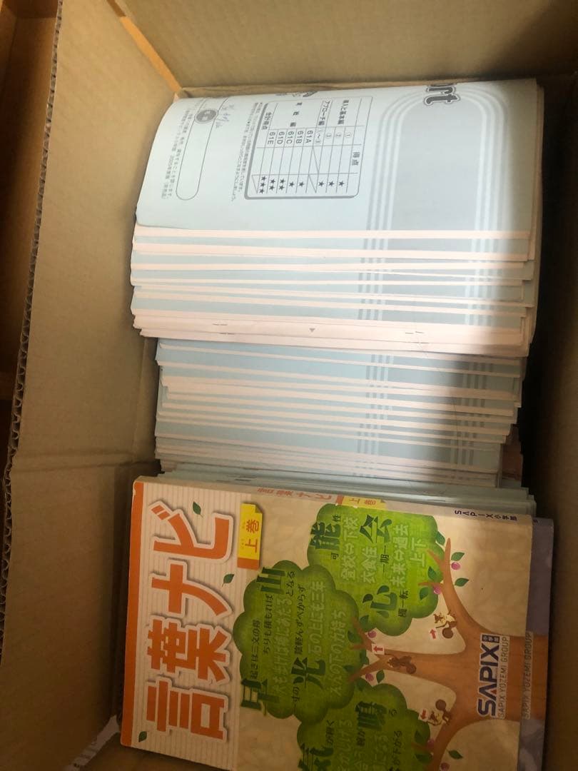 SAPIX 2025年度　6年生　1年間分