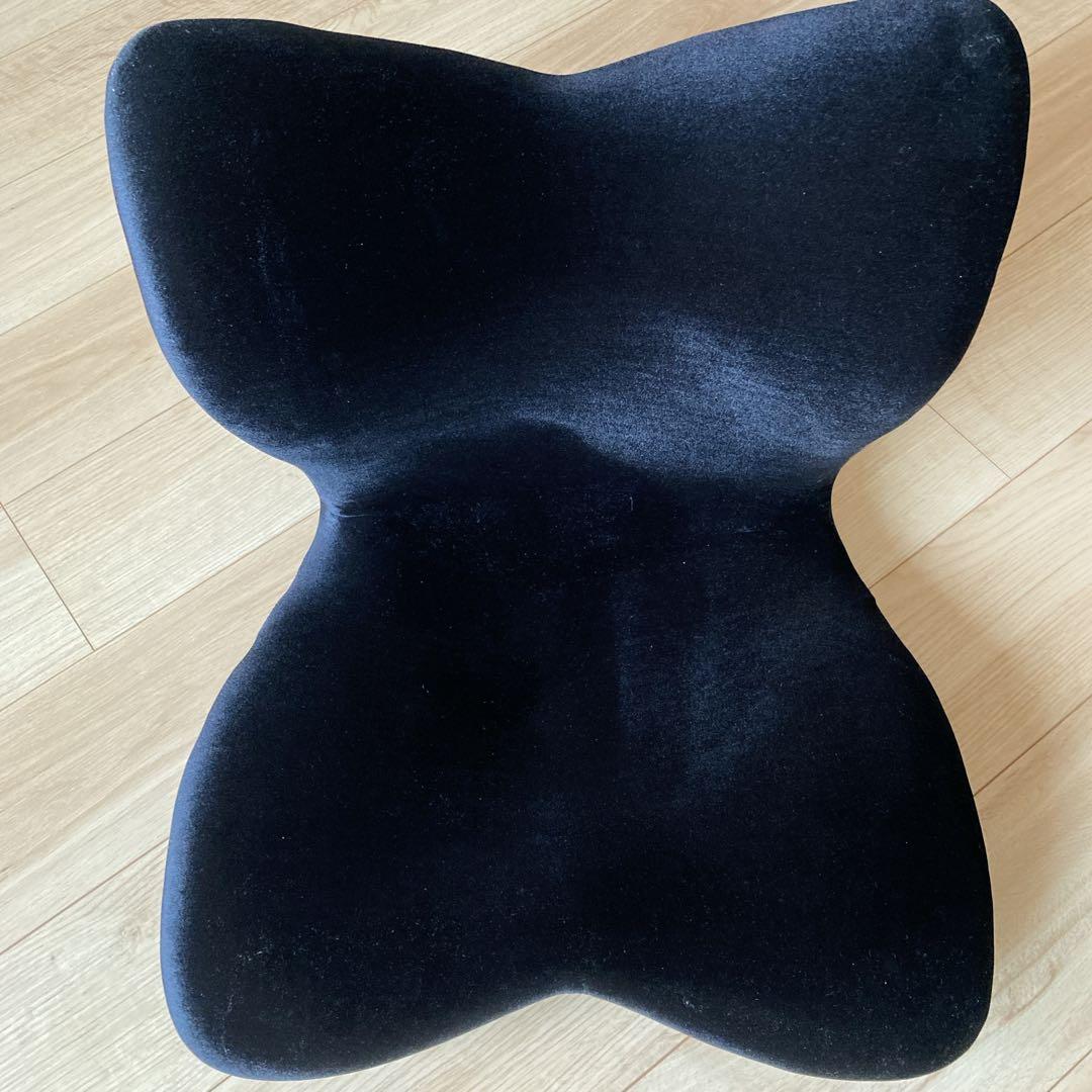 【超美品】Style PREMIUM DX スタイルプレミアムデラックス