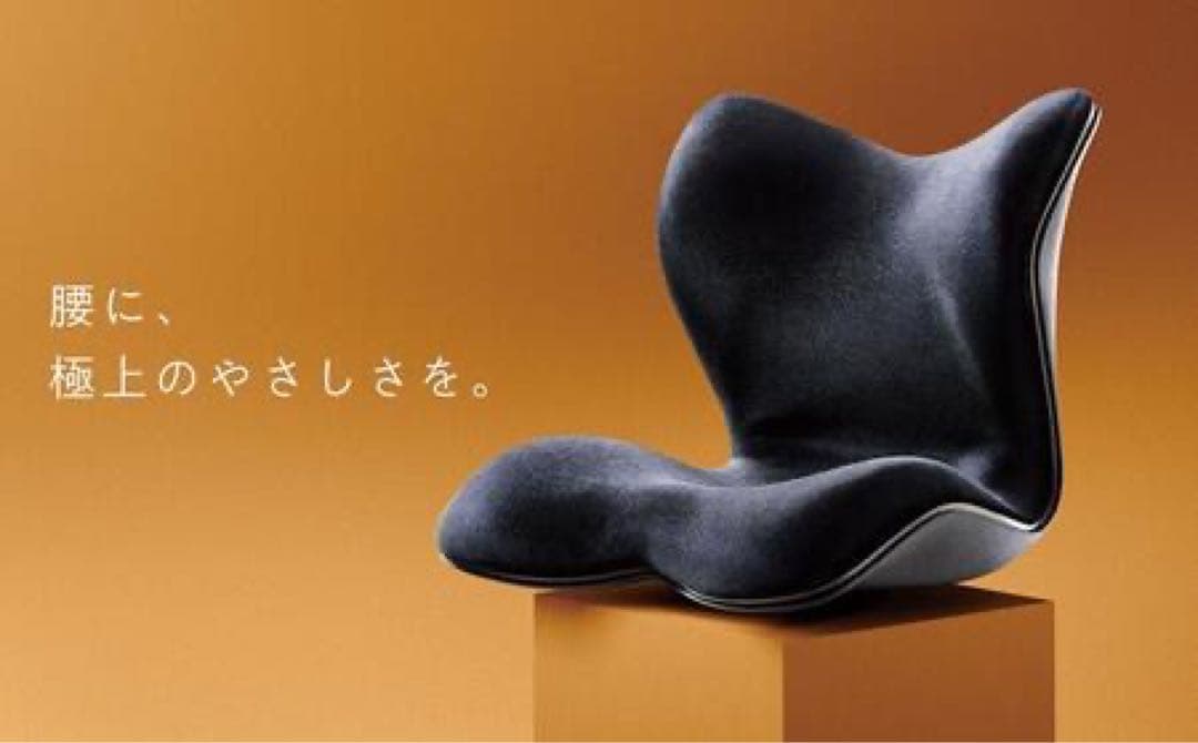 【超美品】Style PREMIUM DX スタイルプレミアムデラックス