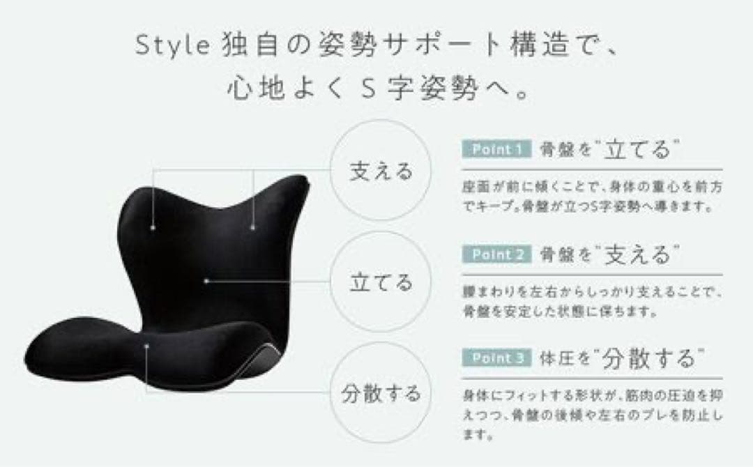 【超美品】Style PREMIUM DX スタイルプレミアムデラックス