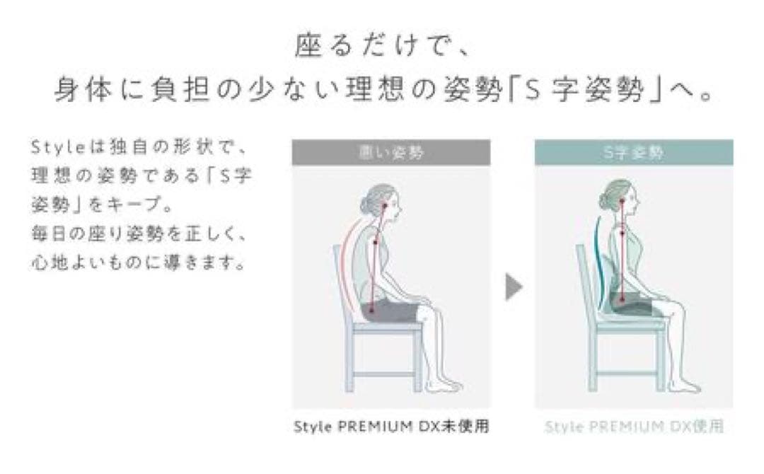 【超美品】Style PREMIUM DX スタイルプレミアムデラックス