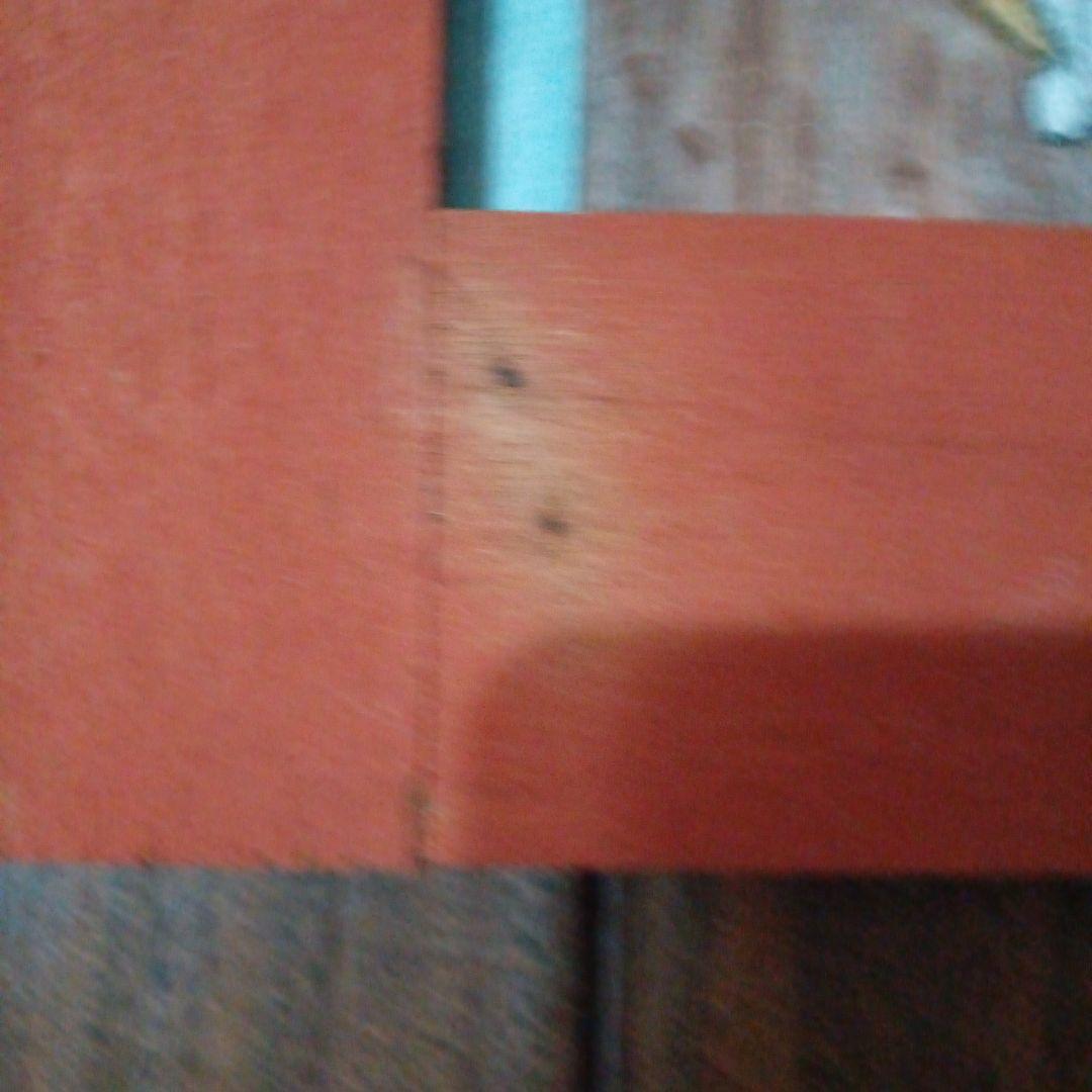 高原鉄男さん猫の絵